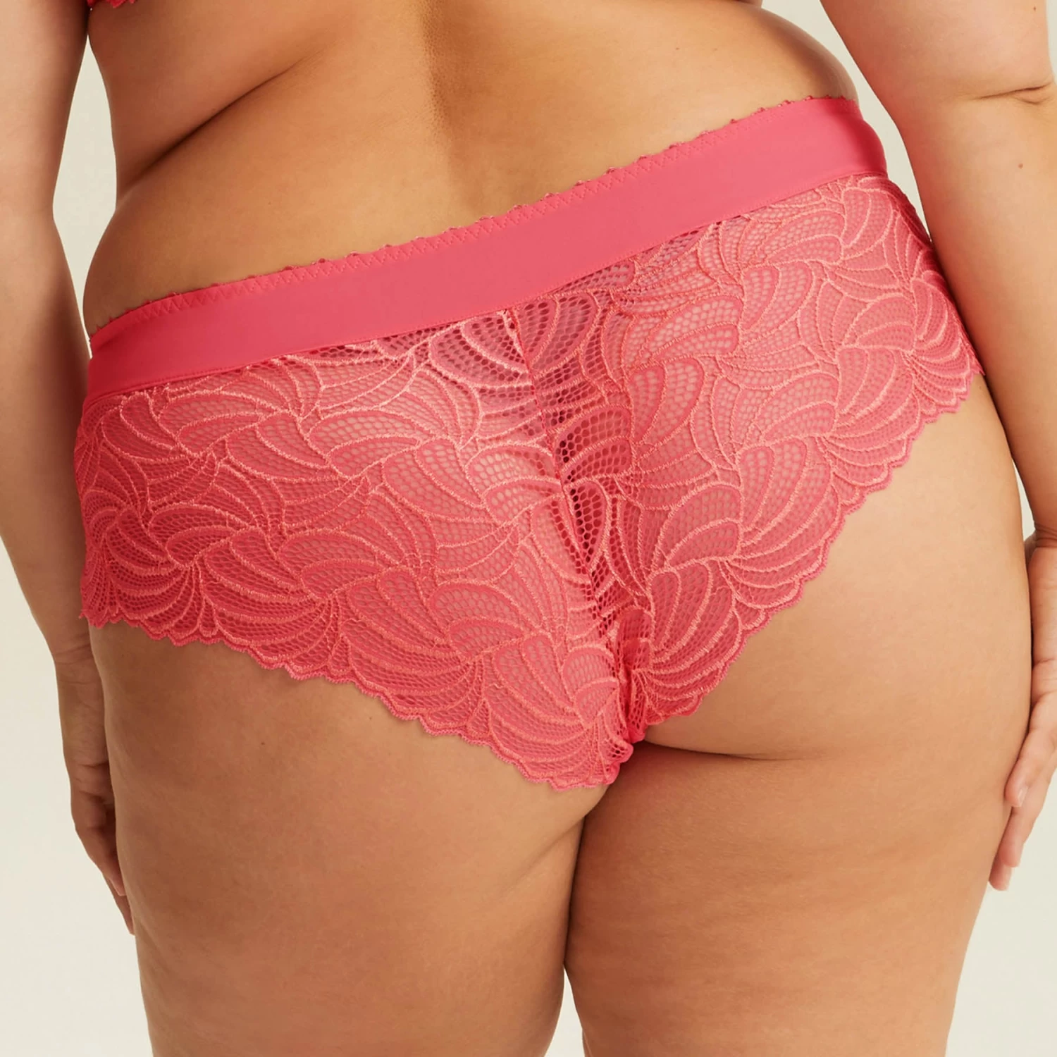 Shorty Cherry PAMPELUNE HARMONY 4 Shorty Cherry PAMPELUNE HARMONY – Image 2